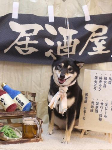 20240629小町ちゃん